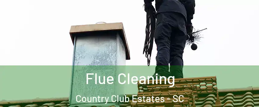 Flue Cleaning Country Club Estates - SC