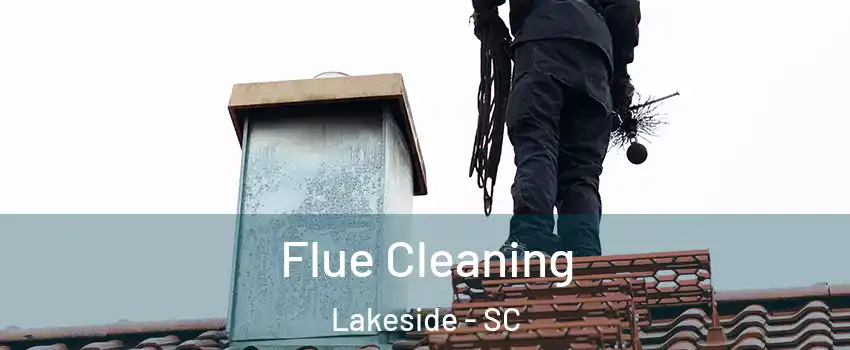 Flue Cleaning Lakeside - SC