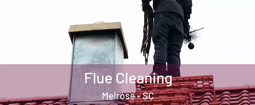 Flue Cleaning Melrose - SC