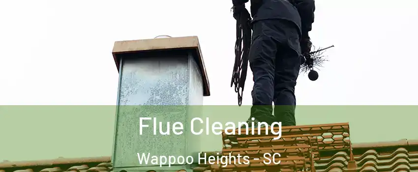 Flue Cleaning Wappoo Heights - SC