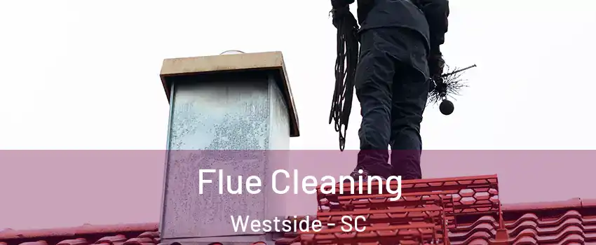 Flue Cleaning Westside - SC