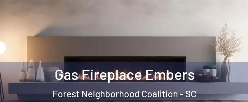 Gas Fireplace Embers Forest Neighborhood Coalition - SC