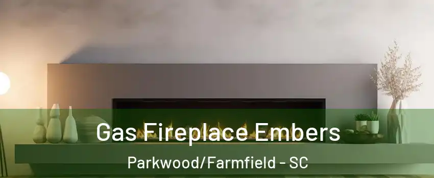 Gas Fireplace Embers Parkwood/Farmfield - SC