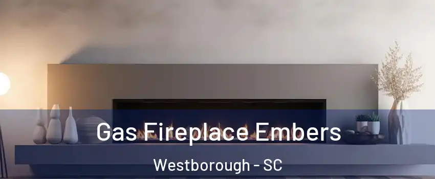 Gas Fireplace Embers Westborough - SC