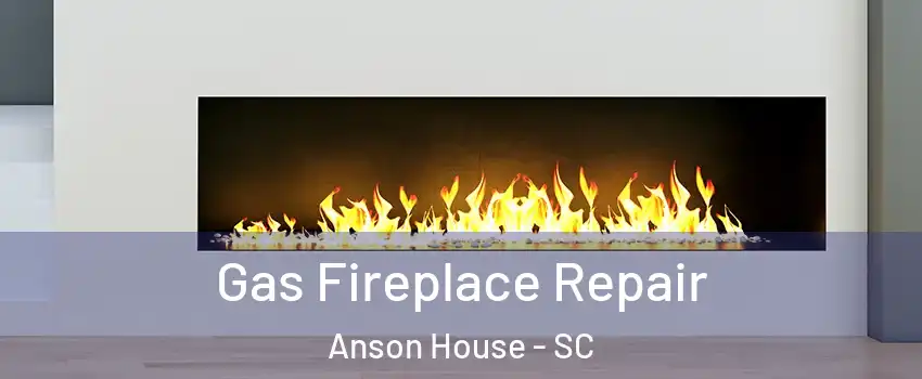 Gas Fireplace Repair Anson House - SC