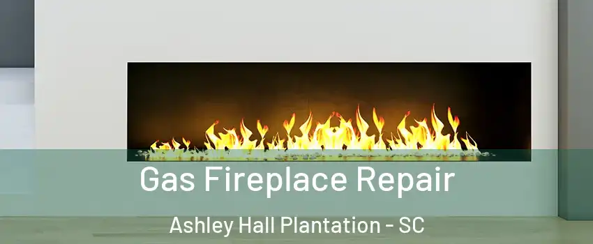 Gas Fireplace Repair Ashley Hall Plantation - SC