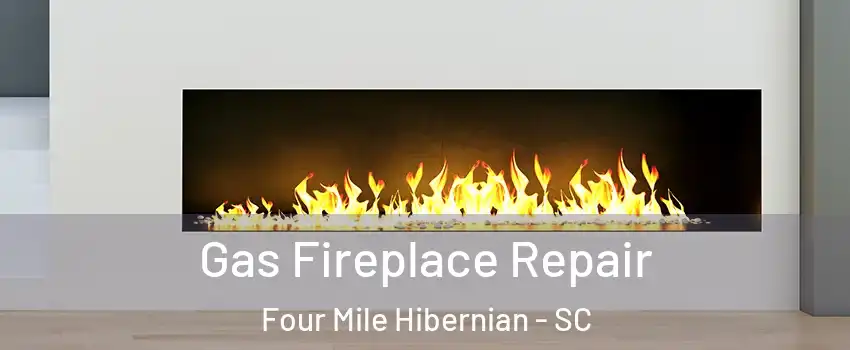 Gas Fireplace Repair Four Mile Hibernian - SC