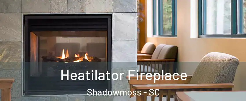 Heatilator Fireplace Shadowmoss - SC