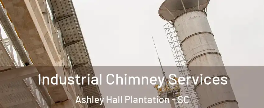 Industrial Chimney Services Ashley Hall Plantation - SC