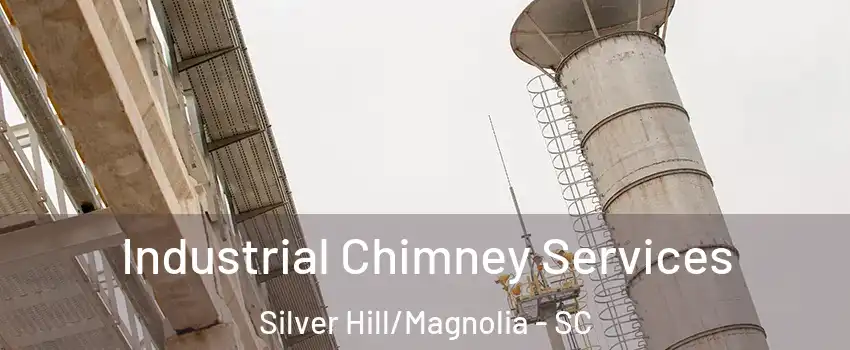 Industrial Chimney Services Silver Hill/Magnolia - SC