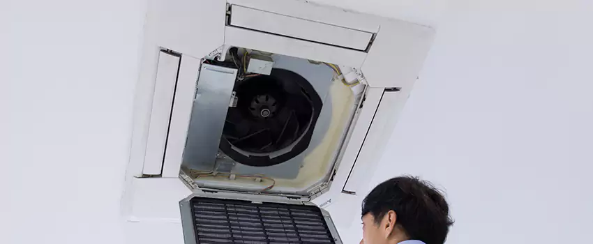 Benefits of Professional Air Duct Cleaning in Ashley Forest, South Carolina