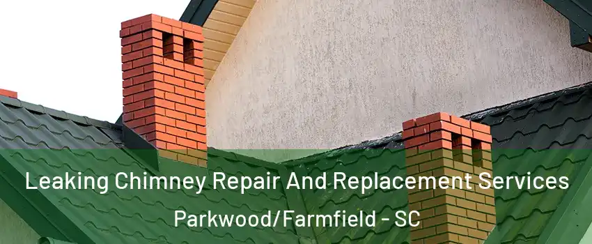 Leaking Chimney Repair And Replacement Services Parkwood/Farmfield - SC