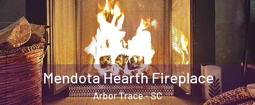 Mendota Hearth Fireplace Arbor Trace - SC