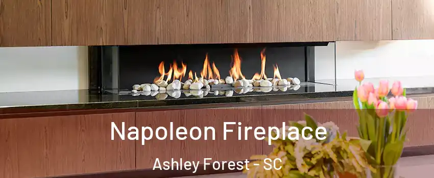 Napoleon Fireplace Ashley Forest - SC
