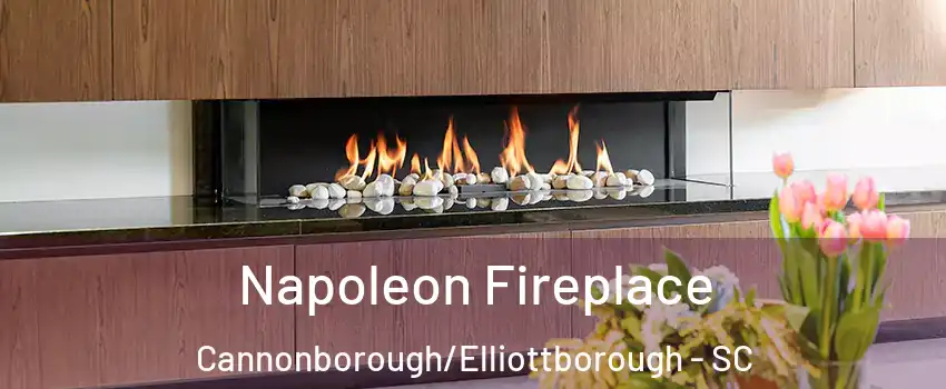 Napoleon Fireplace Cannonborough/Elliottborough - SC