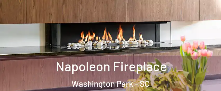 Napoleon Fireplace Washington Park - SC