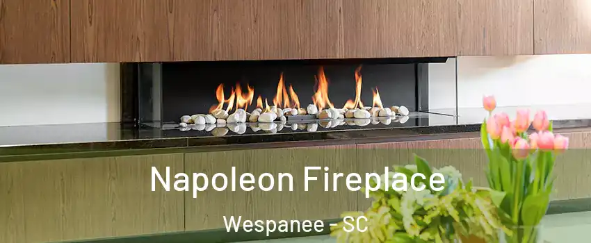 Napoleon Fireplace Wespanee - SC
