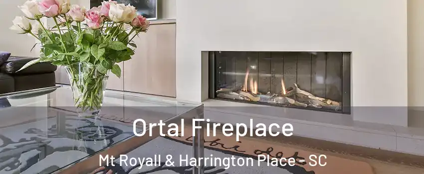 Ortal Fireplace Mt Royall & Harrington Place - SC