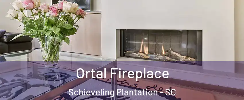 Ortal Fireplace Schieveling Plantation - SC