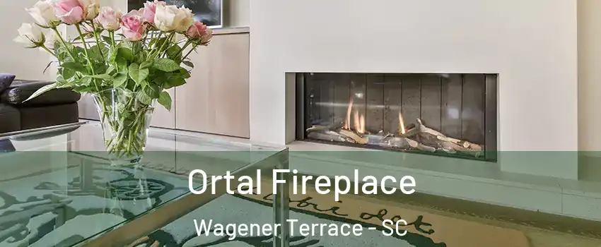 Ortal Fireplace Wagener Terrace - SC