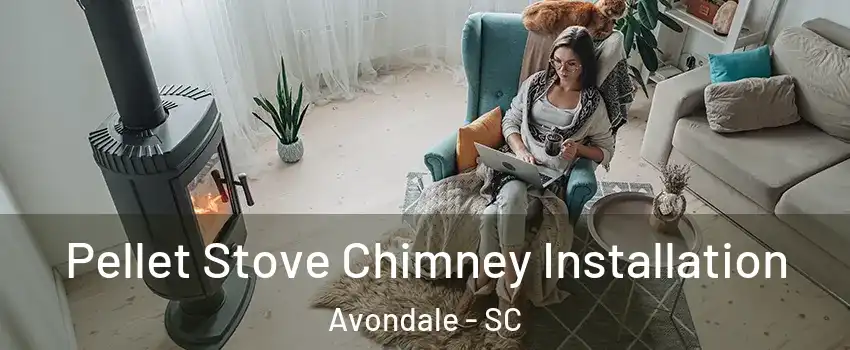 Pellet Stove Chimney Installation Avondale - SC