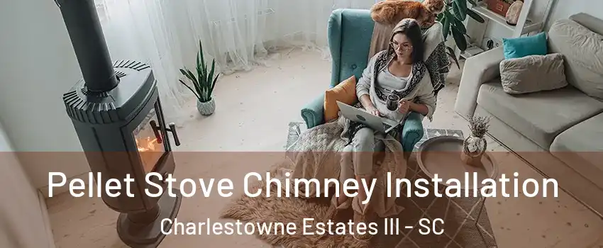 Pellet Stove Chimney Installation Charlestowne Estates III - SC