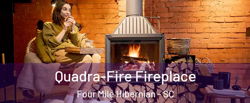 Quadra-Fire Fireplace Four Mile Hibernian - SC
