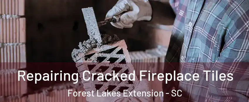 Repairing Cracked Fireplace Tiles Forest Lakes Extension - SC