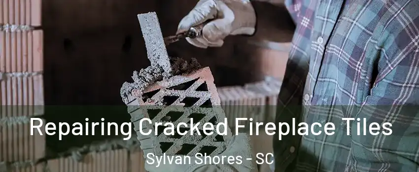 Repairing Cracked Fireplace Tiles Sylvan Shores - SC