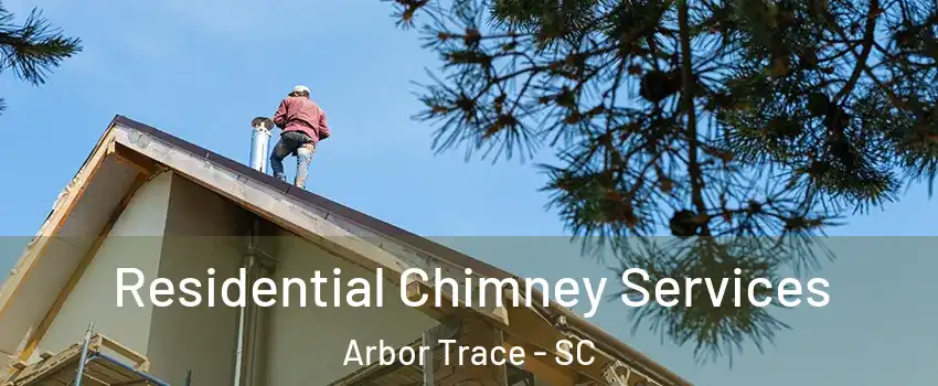 Residential Chimney Services Arbor Trace - SC