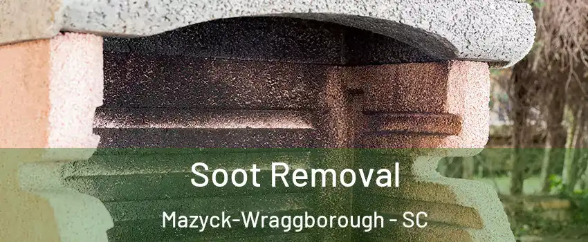 Soot Removal Mazyck-Wraggborough - SC