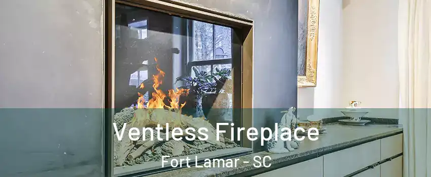 Ventless Fireplace Fort Lamar - SC