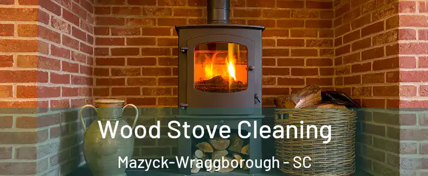 Wood Stove Cleaning Mazyck-Wraggborough - SC