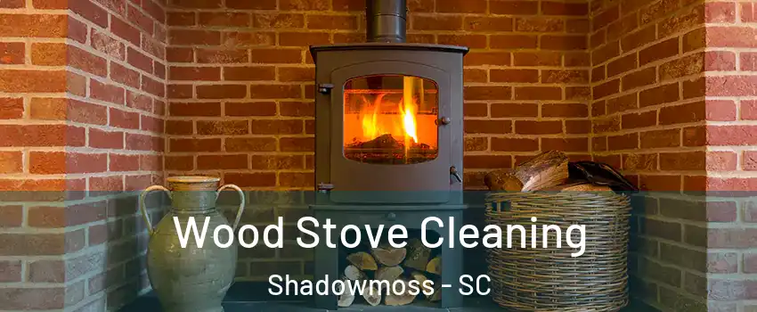 Wood Stove Cleaning Shadowmoss - SC
