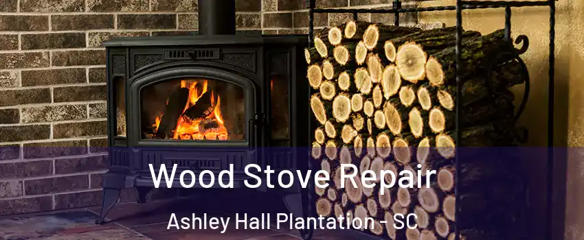 Wood Stove Repair Ashley Hall Plantation - SC